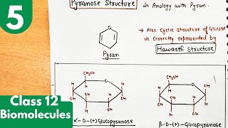 5 Pyranose or Haworth structure of glucoseglucopyranose structures Biomolecules class12 chemistry [upl. by Llerrat]