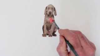 William Wegman Painting Flo [upl. by Moclam]