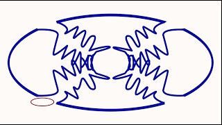 Endosymbiotic theory [upl. by Aneed]