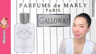 รีวิวน้ำหอมผู้ชาย Parfums de Marly Galloway หอมกว่า YSL Y ผู้หญิงยูนิเซ็กส์ unisex perfume [upl. by O'Kelly891]