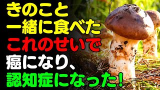 きのこと一緒に 「これ」 は絶対に食べないで🍄‍🟫 茸、キノコと食べると滋養強壮剤になる3選＆レシピ！栄養補助食品の代わりにこれ！【がん・認知症予防、長寿、脳健康情報、秋 料理効果、えのき しめじ】 [upl. by Barbara-Anne]