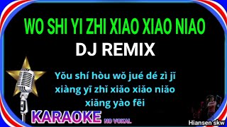 Wo shi yi zhi xiao xiao niao  Remix  karaoke no vokal  huang jia jia  cover to lyrics pinyin [upl. by Stovall486]