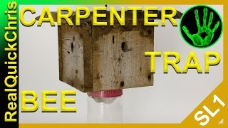 how to kill carpenter bees fast [upl. by Ian]