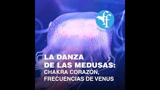 La Danza de las Medusas 10 horas para cambiar la vibra de tu ambiente y el mundo [upl. by Sayers156]