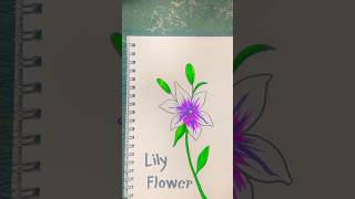 Lily flower drawing 🍀 art painting youtubeshorts ￼ [upl. by Terti]