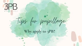 Pupillage at 3PB Barristers  why you should apply [upl. by Aggappora554]