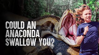 How to Survive Being Swallowed by an Anaconda [upl. by Eleanore]