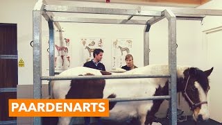 Op bezoek bij een paardenarts  PaardenpraatTV [upl. by Mel409]