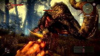 The witcher 2 gameplay ITA HD  uccidere il Kayran [upl. by Kathe]