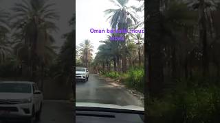 Oman nizwa barka tulmouz  youtubeshortsyoutube viralshortsrubinichanal [upl. by Arakahs]