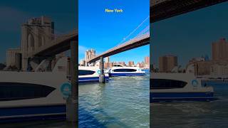 Exploring New York City 🏙️ trending newyorkcity manhattan usashorts travel nyc [upl. by Eilyak]