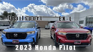 2023 Honda Pilot EXL vs Trailsport Not as similar as you think [upl. by Eniac]