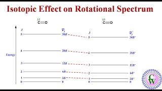 Isotopic Effect on Rotational Spectrum [upl. by Liryc861]