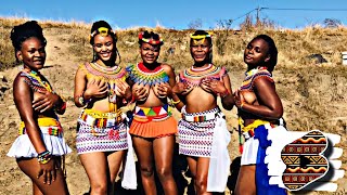 What Happens During Umemulo for Zulu Girls Amatshitshi zulutribe culturaltraditions africa [upl. by Ahsenom]