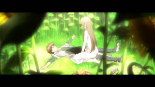 Zetsuen NO Tempest  AMV [upl. by Wemolohtrab]