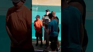 Uff 🤭 Tom mime antics 😂 seaworldmime funny fun comedy viralvideo funnyvideo [upl. by Dachi542]