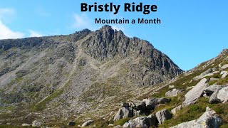 Bristly Ridge via sinister gully [upl. by Eybbob146]