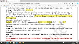 unité 1  chapitre 1 la glycolyse et le devenir de lacide pyruvique dans la mitochondrie [upl. by Babbette]