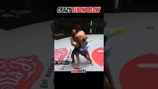 Crazy Elbow Blow muaythai mma boxing [upl. by Moncear]