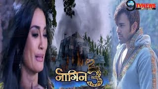 NAAGIN 317TH FEBRUARY 2019  Colors TV Serial  75TH Episode Full Story Details REVEALED [upl. by Zitella254]