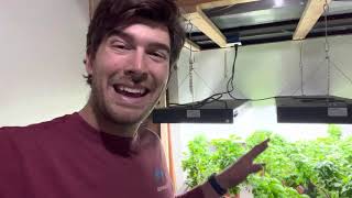 Super Simple Indoor Garden Setup Walkthrough Anyone Can Do [upl. by Imelda]