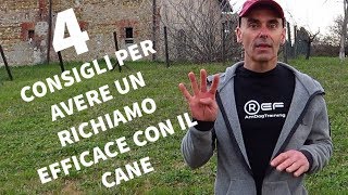 4 consigli per avere un richiamo efficace con il cane [upl. by Neale985]