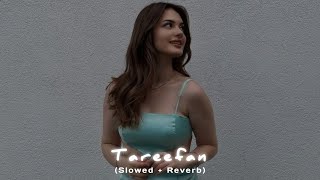 Tareefan  Jordan Sandhu Slowed  Reverb  Bass Boosted  Latest Punjabi Song  Jackk Music [upl. by Lasky704]