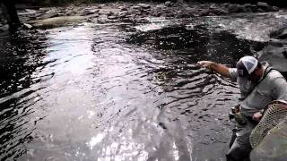 Fly Fishing the South Platte in Downtown Denver [upl. by Evelina]