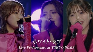 iScream「ホワイト・ラブ」Live Performance Video at TOKYO DOME [upl. by Enytsuj2]