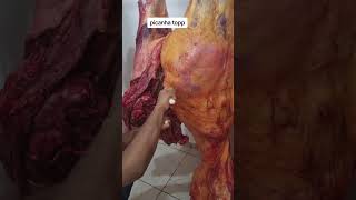 Como tirar a picanha carnes picanha desossa desossando receitas [upl. by Dorran480]