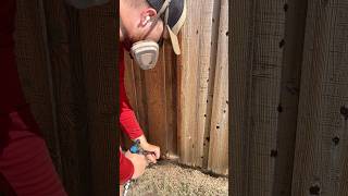 More Fence Staining in Arlington fencestaining [upl. by Felicia]