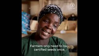 Agrodealers in Mozambique use the FAO Identification Delivery and Empowerment Application IDEA [upl. by Blakelee]