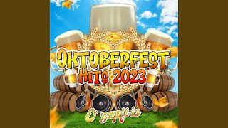 Die Toten Hosen  Kein Alkohol Ist auch keine Lösung Offizielles Musikvideo [upl. by Dre52]