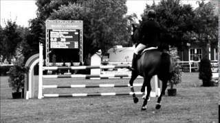 Impressionen der reitsportlichen Veranstaltungen im LRV [upl. by Selhorst]