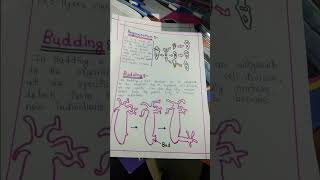 asexual reproduction in different organisms modes of reproduction used by single organism [upl. by Eilrebma]