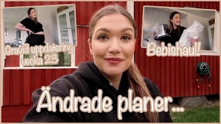 GRAVIDUPPDATERING VECKA 23 🧸 MER BEBISHAULS ÄNDRADE PLANER VLOGG 125  AMANDA MARIN [upl. by Dulcinea]