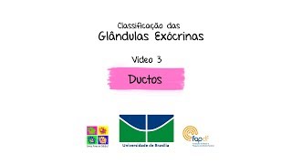 3 Glândulas Exócrinas Ductos [upl. by Tavey623]