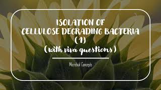 CELLULOSE DEGRADING BACTERIA Cellulases part 1  MSc Microbiology practical series [upl. by Isaak]