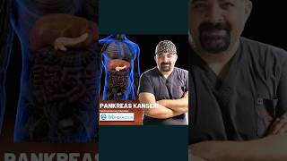 Pankreas Kanseri Nedir [upl. by Burris278]