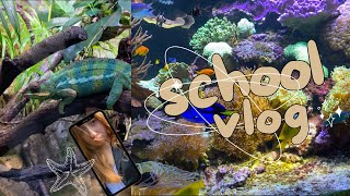 SCHOOL VLOG 🦎 Museum for our selfs [upl. by Lenad]