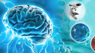 Grow New Brain Cells with Taurine Improve a Congestive Heart and Metabolic Syndrome [upl. by Anbul172]