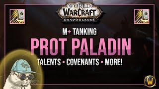 PROTECTION PALADIN Shadowlands M Indepth Guide 90 [upl. by Mad524]