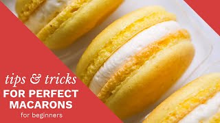 a complete guide to perfect macarons [upl. by Alwin]