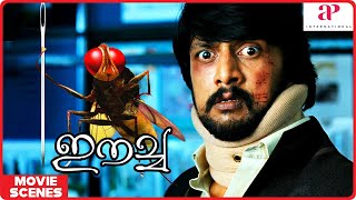 Eecha Malayalam Movie  Eecha Best Scenes  02  Nani  Samantha Ruth Prabhu  Sudeep  SS Rajamouli [upl. by Salomone199]