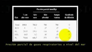 FISIOLOGIA CARDIOPULMONAR Y EJERCICIO 7 [upl. by Einnim]