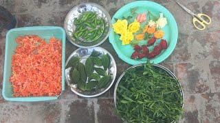 Bitter gourd green leaves and flowers harvesting in Terrace Garden [upl. by Amelita]