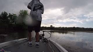 Spring Lake Illinois Largemouth Catch [upl. by Nichy]