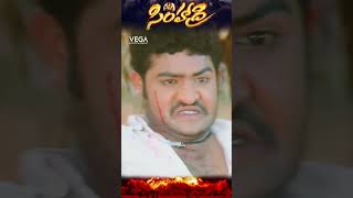 shorts  NTR mass 🔥🔥 simhadri movie bhumika simhadri4k ytshorts ntr30 ankitha telugushorts [upl. by Dinsdale]