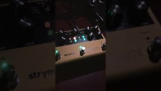 Strymon Volante is that good [upl. by Netsryk661]