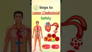 Steps to Lower Cholesterol  safely [upl. by Briano]